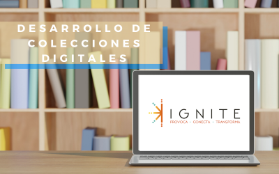 La innovación y desarrollo de las colecciones digitales